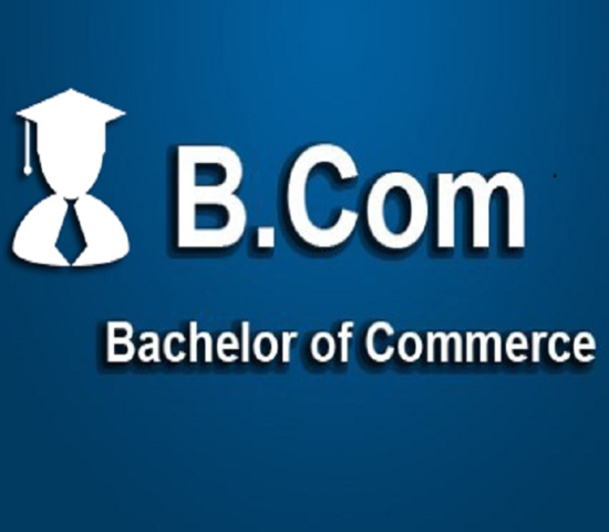 Service Provider of B.COM Course in New Delhi, Delhi, India.