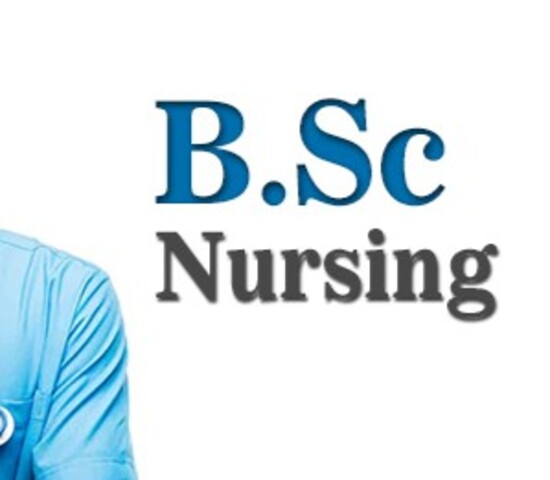 Service Provider of B.SC Nursing Course in New Delhi, Delhi, India.