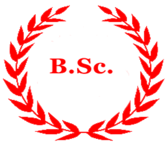 Service Provider of BSC Course in New Delhi, Delhi, India.